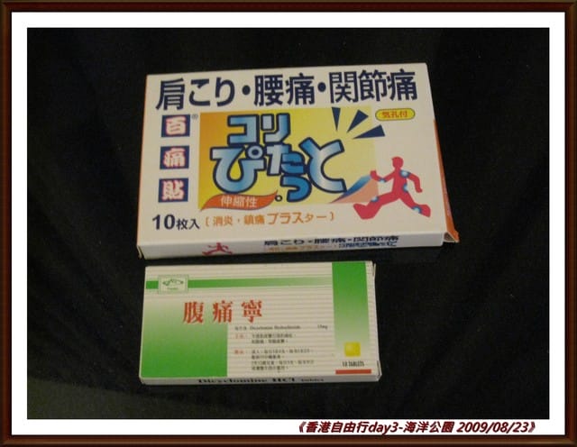 ［香港］4天3夜自由行．Day3．海洋公園/大排檔-瀨尿蝦/廟街/義順牛奶公司