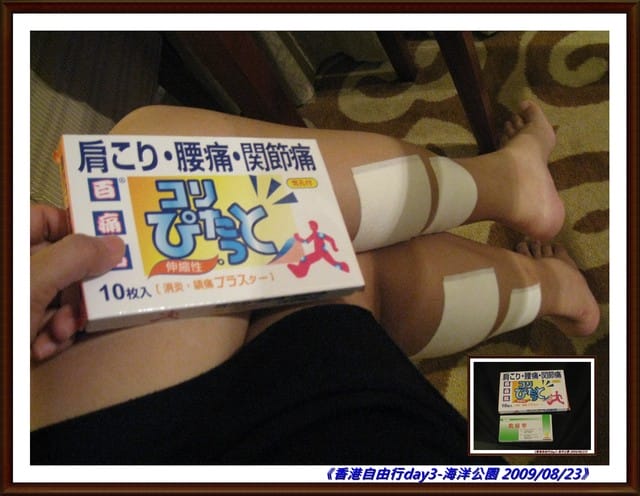 ［香港］4天3夜自由行．Day3．海洋公園/大排檔-瀨尿蝦/廟街/義順牛奶公司