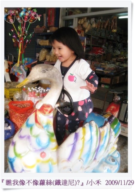 [相簿] 禾妹妹/不再膽小囉