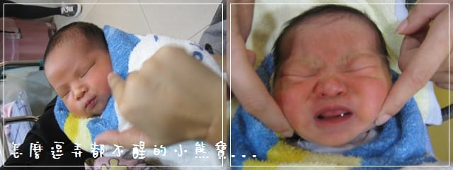 [遊記] 寶島一村/台北行