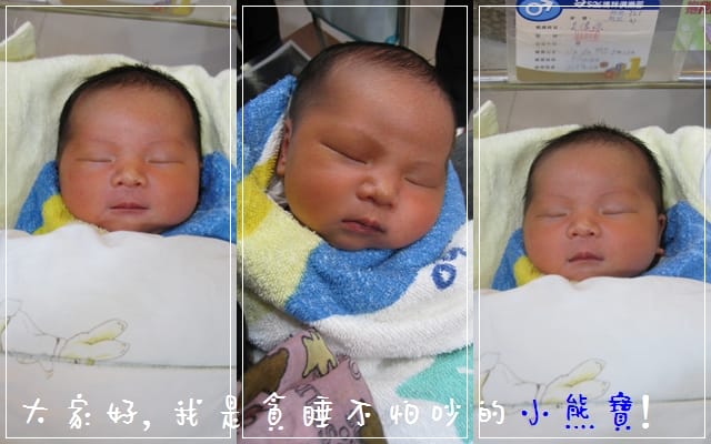 [遊記] 寶島一村/台北行