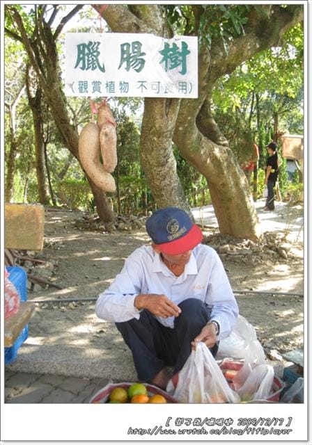 [遊記] 關子嶺紅葉公園。