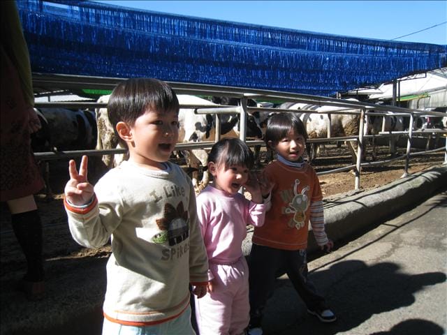 [相簿/遊記] 嘉義．獨角仙農場