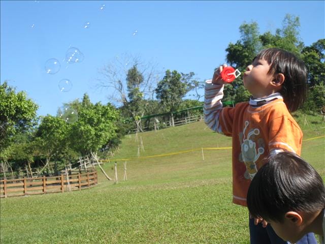 [相簿/遊記] 嘉義．獨角仙農場