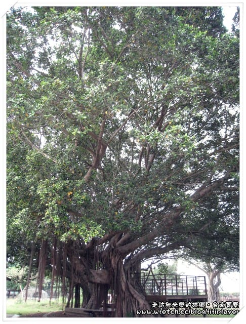 走訪無米樂的故鄉之菁寮國小、天主教堂