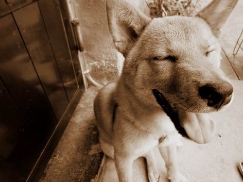 城市裡慢活．我在咖啡店33號