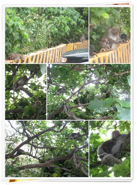 好友高雄同樂記(上)．比較像食記之瑞豐夜市篇