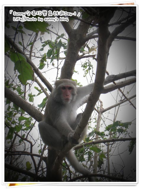 好友高雄同樂記(上)．比較像食記之瑞豐夜市篇