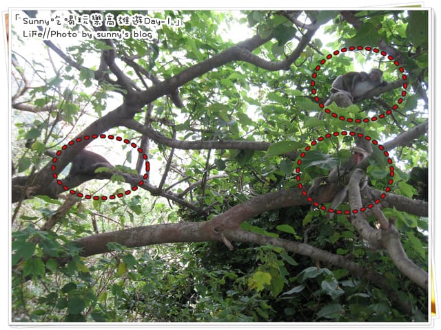 好友高雄同樂記(上)．比較像食記之瑞豐夜市篇