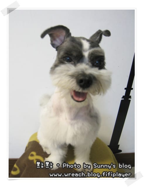 《愛犬日記》New~~ 新造型亮相