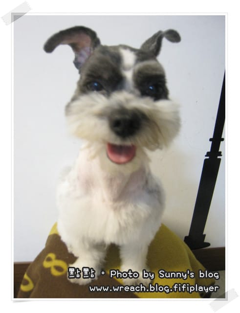 《愛犬日記》New~~ 新造型亮相