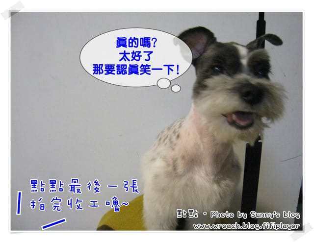 《愛犬日記》New~~ 新造型亮相