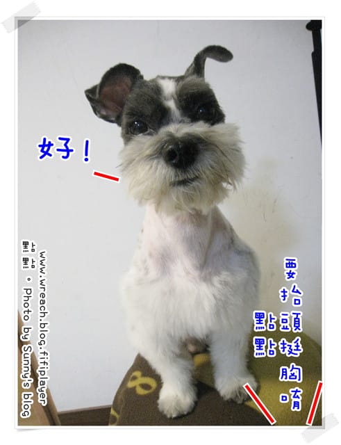 《愛犬日記》New~~ 新造型亮相