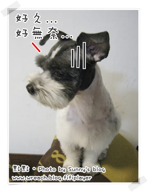 《愛犬日記》New~~ 新造型亮相