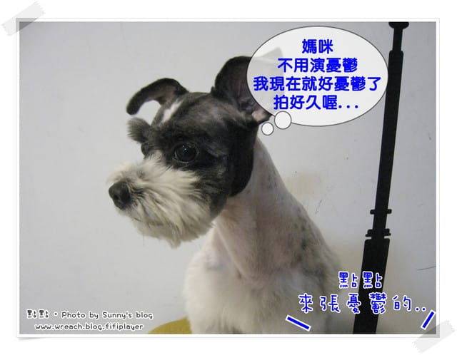 《愛犬日記》New~~ 新造型亮相