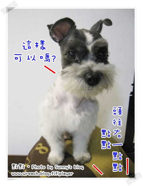 《愛犬日記》New~~ 新造型亮相