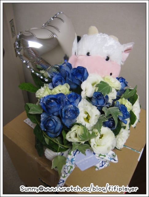 100 ♥ Jan.【分享-我的受驚趣事「是死的還是活的?」】