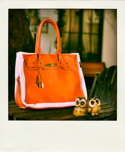 100 ♥ Jan.18 生活手札/躲貓貓vs貓尾巴