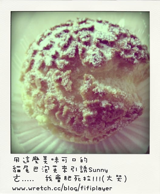 100 ♥ Jan.18 生活手札/躲貓貓vs貓尾巴