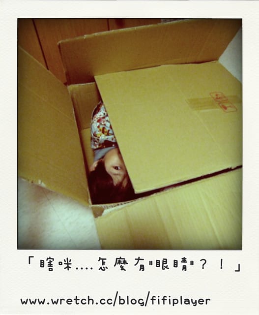 100 ♥ Jan.18 生活手札/躲貓貓vs貓尾巴