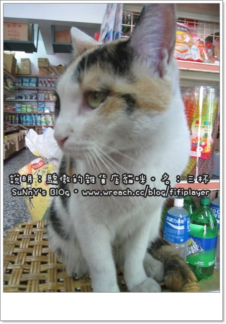 台北兩日遊．Day1上半場．花博行