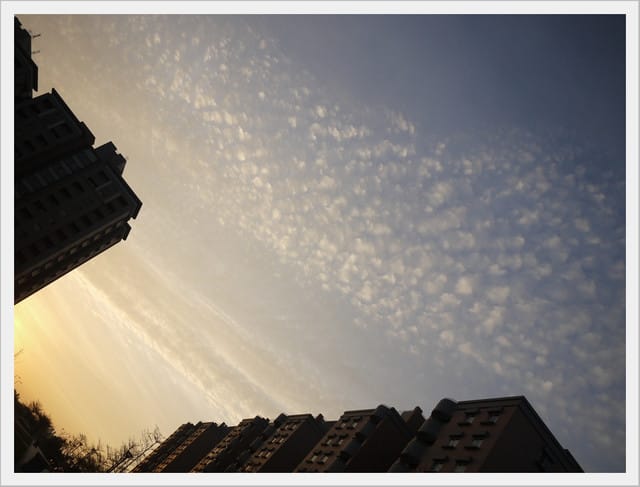 照片日誌3/21~3/28．100 ♥Mar.28 傾聽心的聲音。