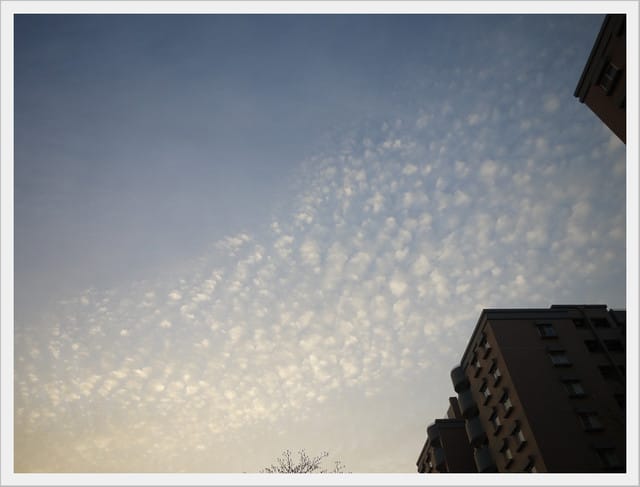 照片日誌3/21~3/28．100 ♥Mar.28 傾聽心的聲音。