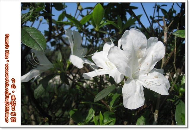 台北．拍照的好所在「朱銘美術館」