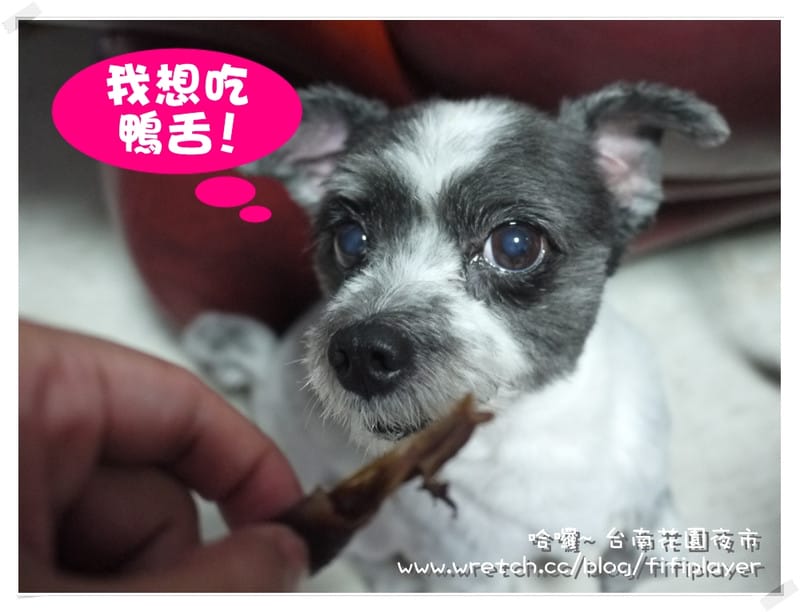 迺夜市．No1 台南-花園夜市