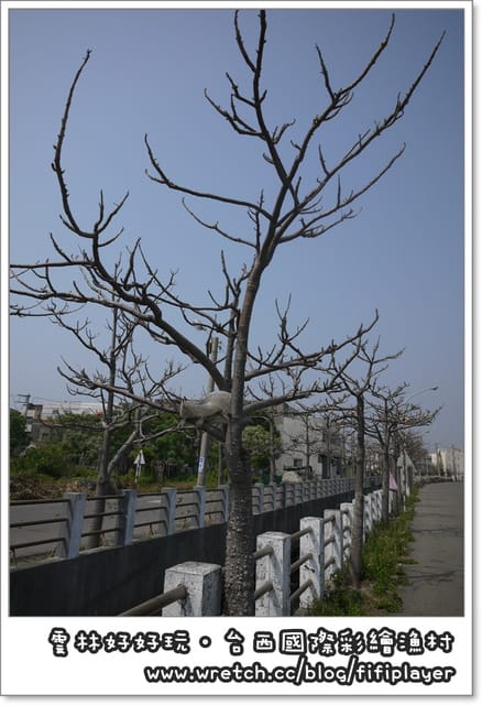 雲林好好玩．台西國際彩繪漁村