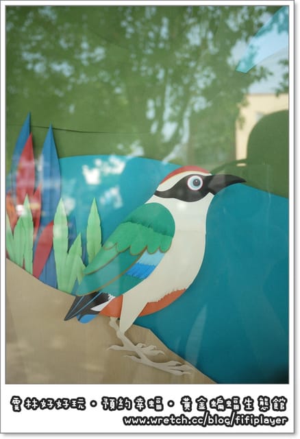 雲林好好玩．我在黃金蝙蝠生態館．發現幸「蝠」(上)