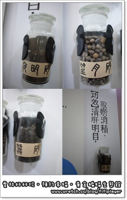 雲林好好玩．我在黃金蝙蝠生態館．發現幸「蝠」(上)