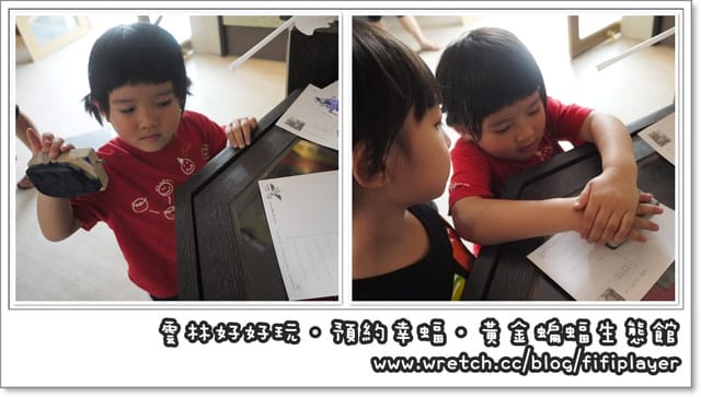 雲林好好玩．我在黃金蝙蝠生態館．發現幸「蝠」(上)