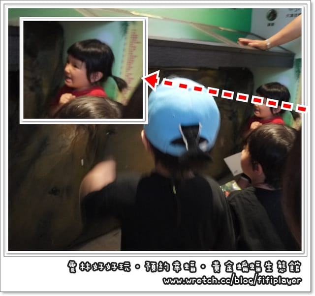 雲林好好玩．我在黃金蝙蝠生態館．發現幸「蝠」(上)