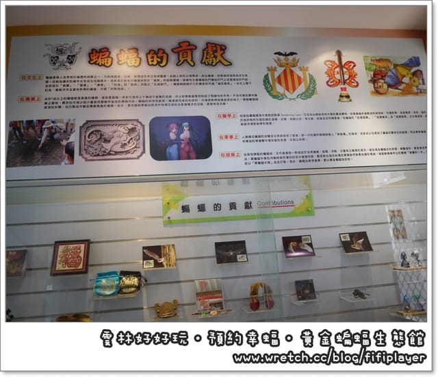 雲林好好玩．我在黃金蝙蝠生態館．發現幸「蝠」(上)