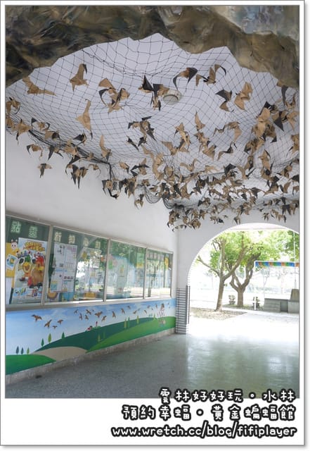雲林好好玩．我在幸「蝠」國小．發現幸「蝠」(下)