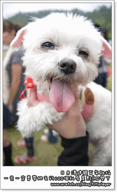 ▽日月潭跳拍後記 vs 一生一定要帶她去的一百個私房景點△
