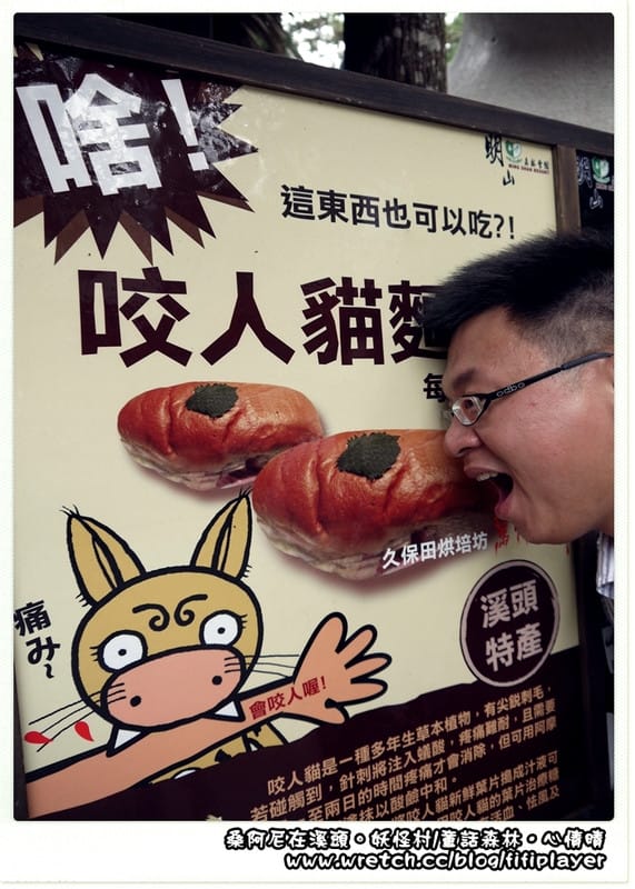 ▌溪頭．松林町．妖怪村 ▌