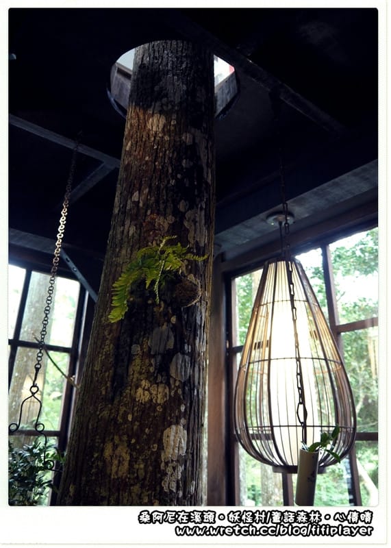 ▌溪頭．松林町．妖怪村 ▌