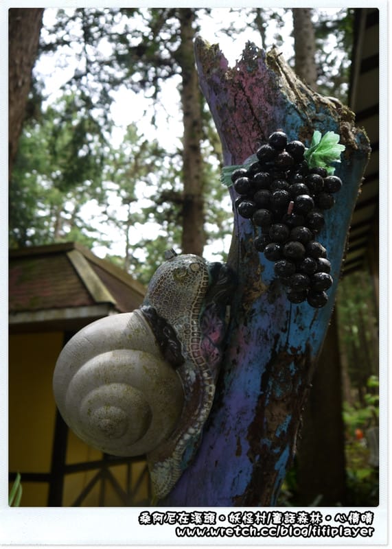 ▌溪頭．妖怪村童話森林帶你走入童話世界 ▌