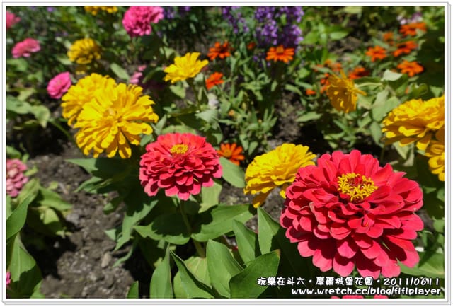 ▌雲林好好玩．「好殺底片」之斗六摩爾花園餐廳．室外景觀篇  ▌