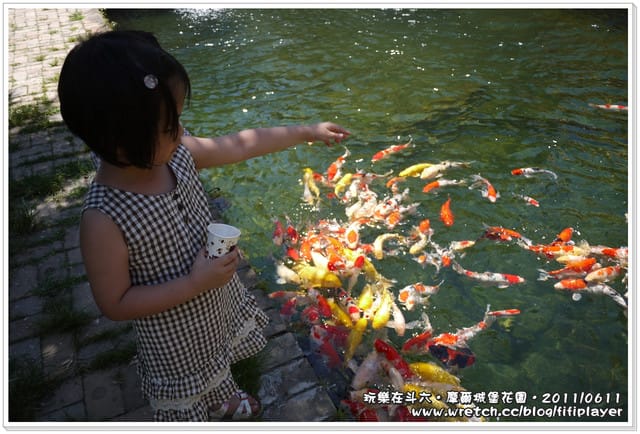 ▌雲林好好玩．「好殺底片」之斗六摩爾花園餐廳．室外景觀篇  ▌