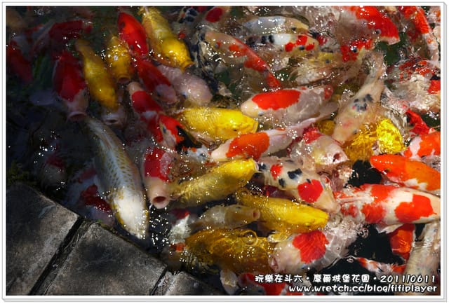 ▌雲林好好玩．「好殺底片」之斗六摩爾花園餐廳．室外景觀篇  ▌