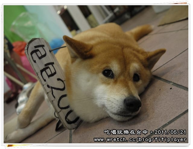 ▌台中一日行．彩虹眷村→勤美誠品綠園道/加部屋拉麵→百年教堂/柳園教會→逢甲商圈/ 私會胡蝶 ▌