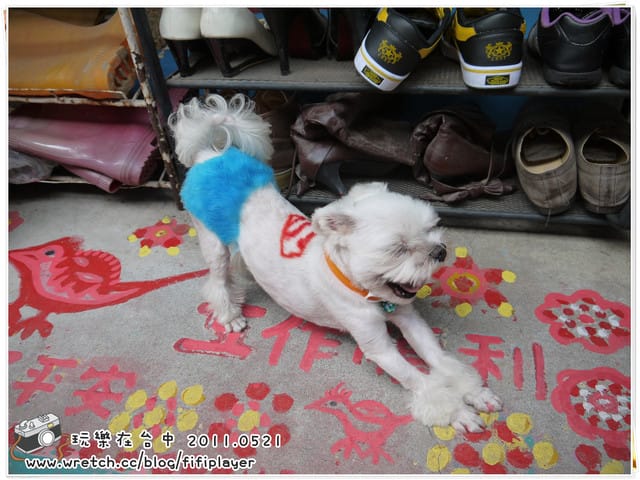 ▌台中．小巷裡的彩虹天堂．彩虹眷村 ▌