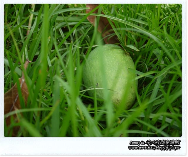 ▌雲林好好玩．溫馨時光．斗六官邸兒童館  ▌