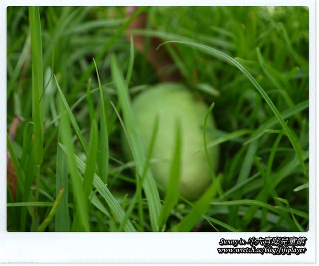 ▌雲林好好玩．溫馨時光．斗六官邸兒童館  ▌
