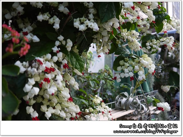 ▌台南。意外走了一趟好吃又好玩的孔廟魅力商圈+贈獎小活動 ▌