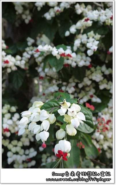 ▌台南。意外走了一趟好吃又好玩的孔廟魅力商圈+贈獎小活動 ▌