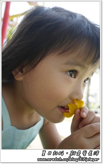 ▌穿搭。今夏必備長洋+顯瘦洞洞針織衫 ▌